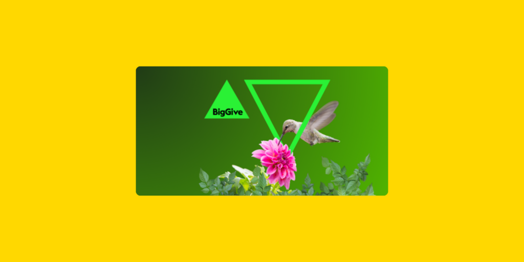 Visuel de la plateforme Big Give avec un colibri butinant une fleur rose, illustrant une campagne de collecte de fonds pour des causes environnementales.